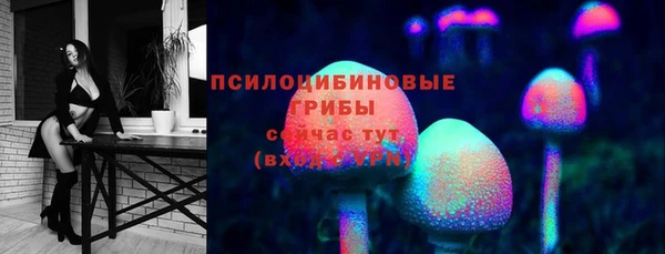 гашик Алзамай