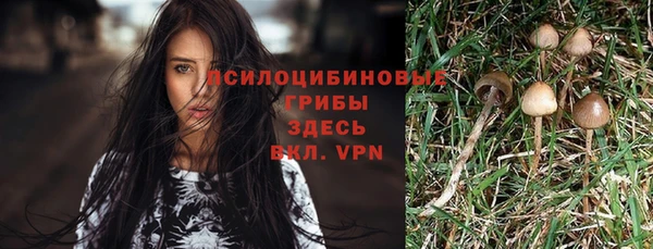 крисы Алексин