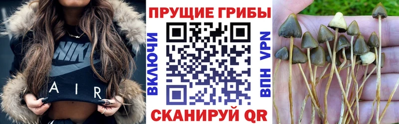 где можно купить наркотик  Котельники  Галлюциногенные грибы мухоморы 