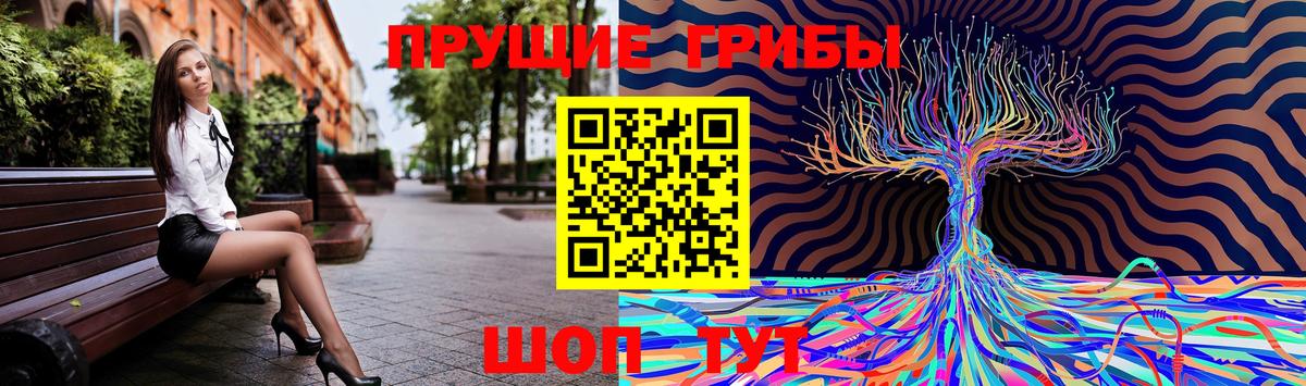 Котельники  Галлюциногенные грибы Cubensis  Вход с VPN  Псилоцибиновые грибы Magic Shrooms 